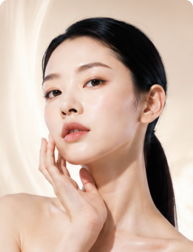 Contour Lifting